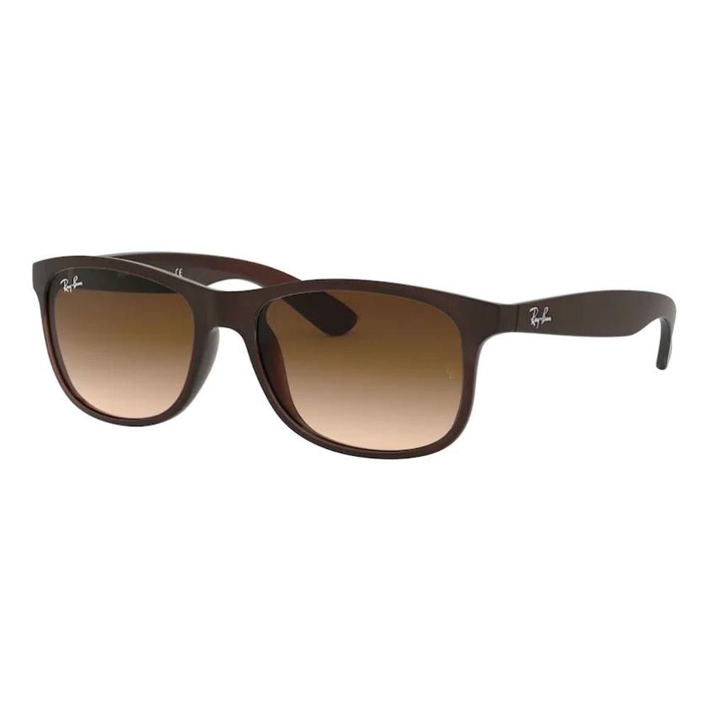 Ray Ban RB 4202