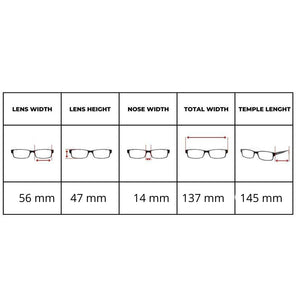 Ray Ban 2198 Bill