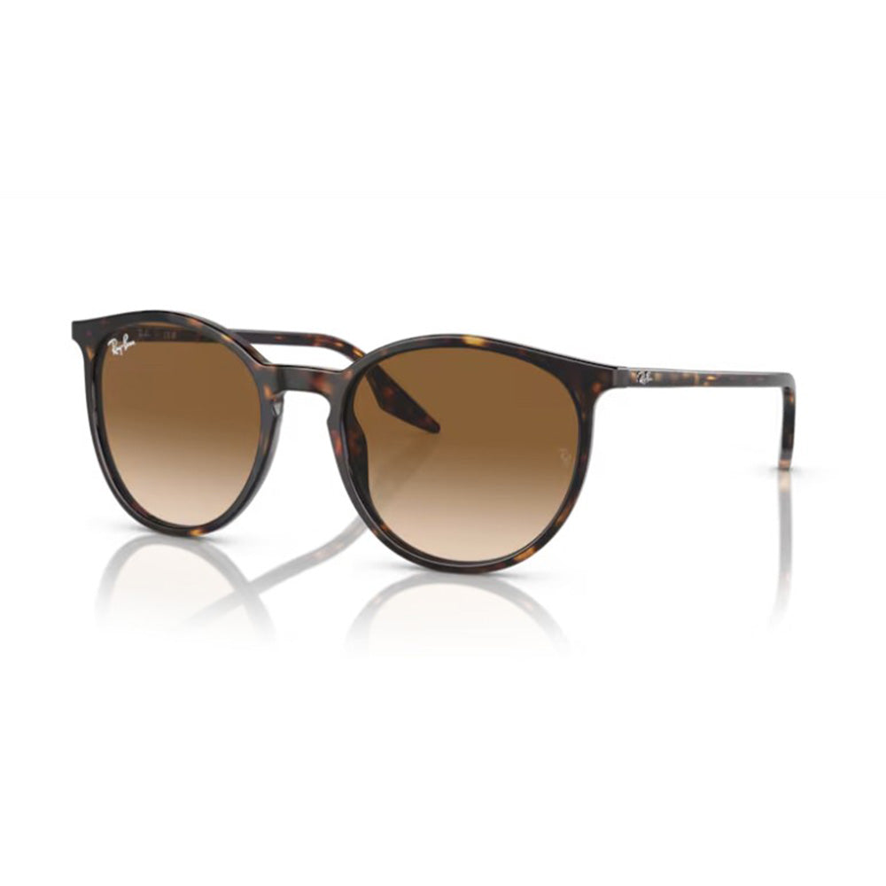 Ray Ban 2204